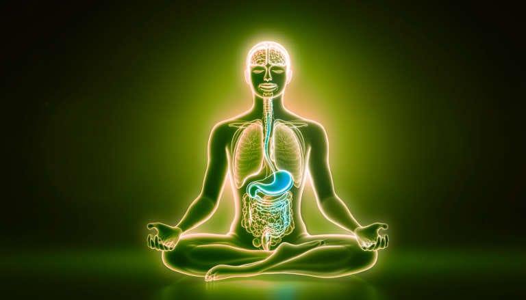 Meditating figure: internal biology and calm expression.