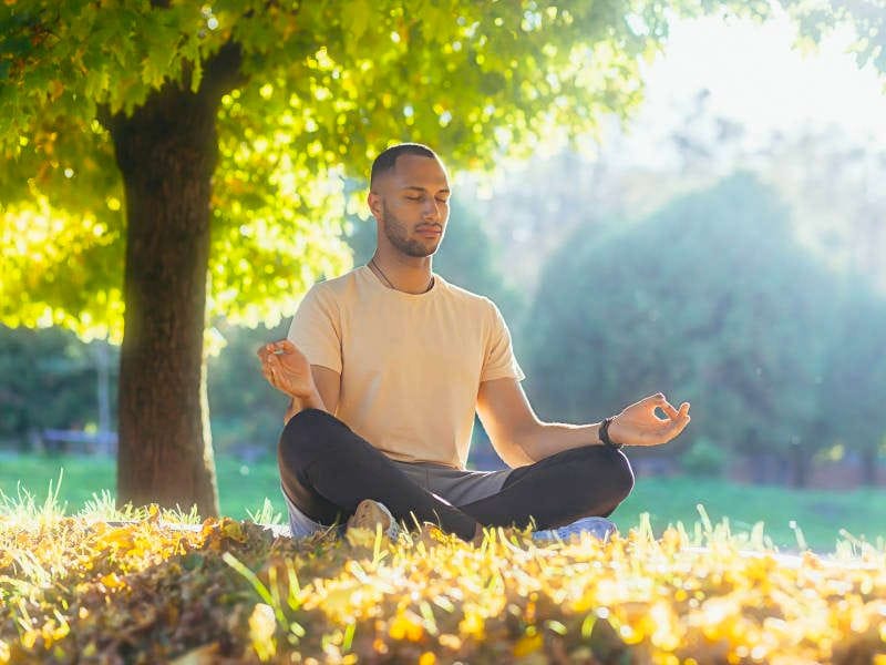 Person meditating in lotus position under a tree, surrounded by sunlit grass and foliage.
