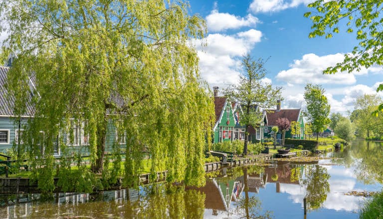 Colorful homes with green and blue facades arranged along a peaceful canal, with weeping willows reflecting in the still water.